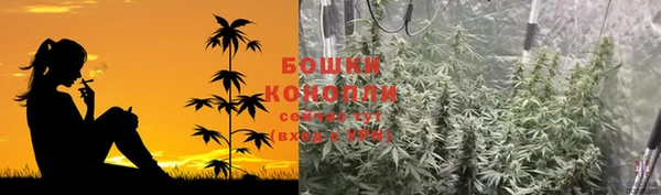 гашик Алапаевск
