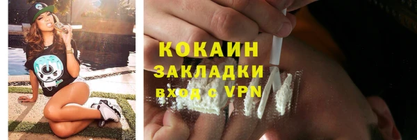 прущие грибы Армянск