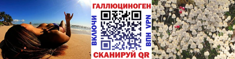 Галлюциногенные грибы прущие грибы  хочу   Гвардейск 