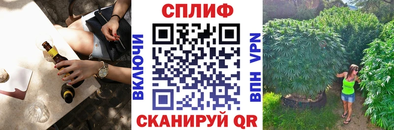 Шишки марихуана марихуана  сколько стоит  Гвардейск 